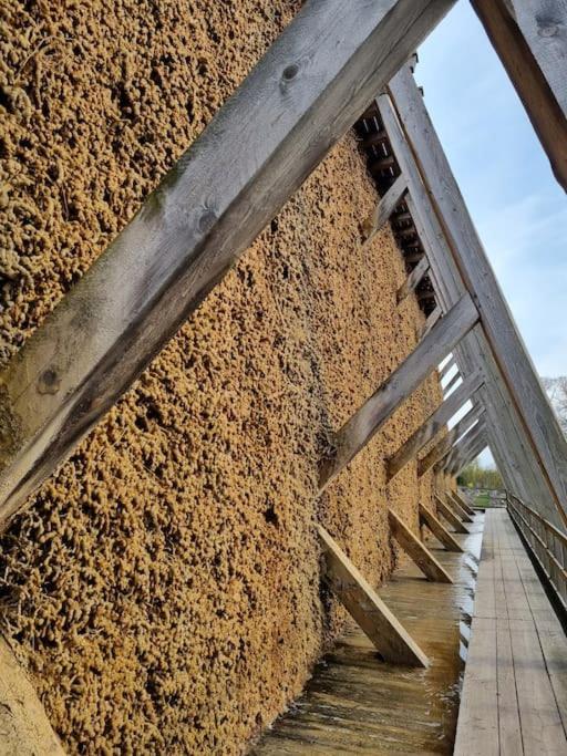 Ferienwohnung Direkt Am Kurpark Mit Gradierwerk Solestadt Bad Dürrenberg Kültér fotó