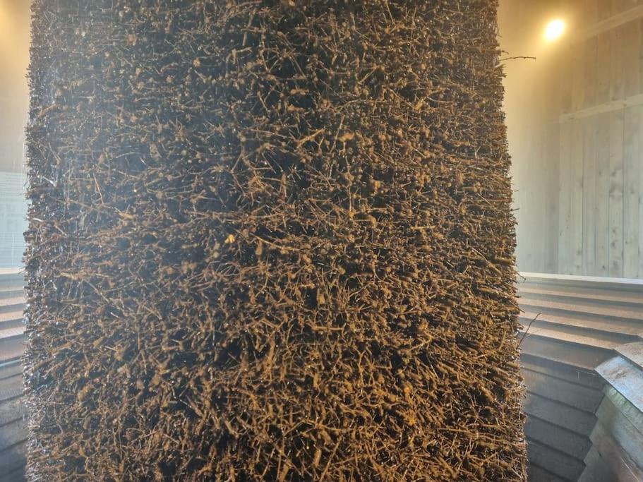 Ferienwohnung Direkt Am Kurpark Mit Gradierwerk Solestadt Bad Dürrenberg Kültér fotó